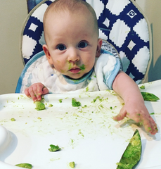 Baby Led Weaning Facts