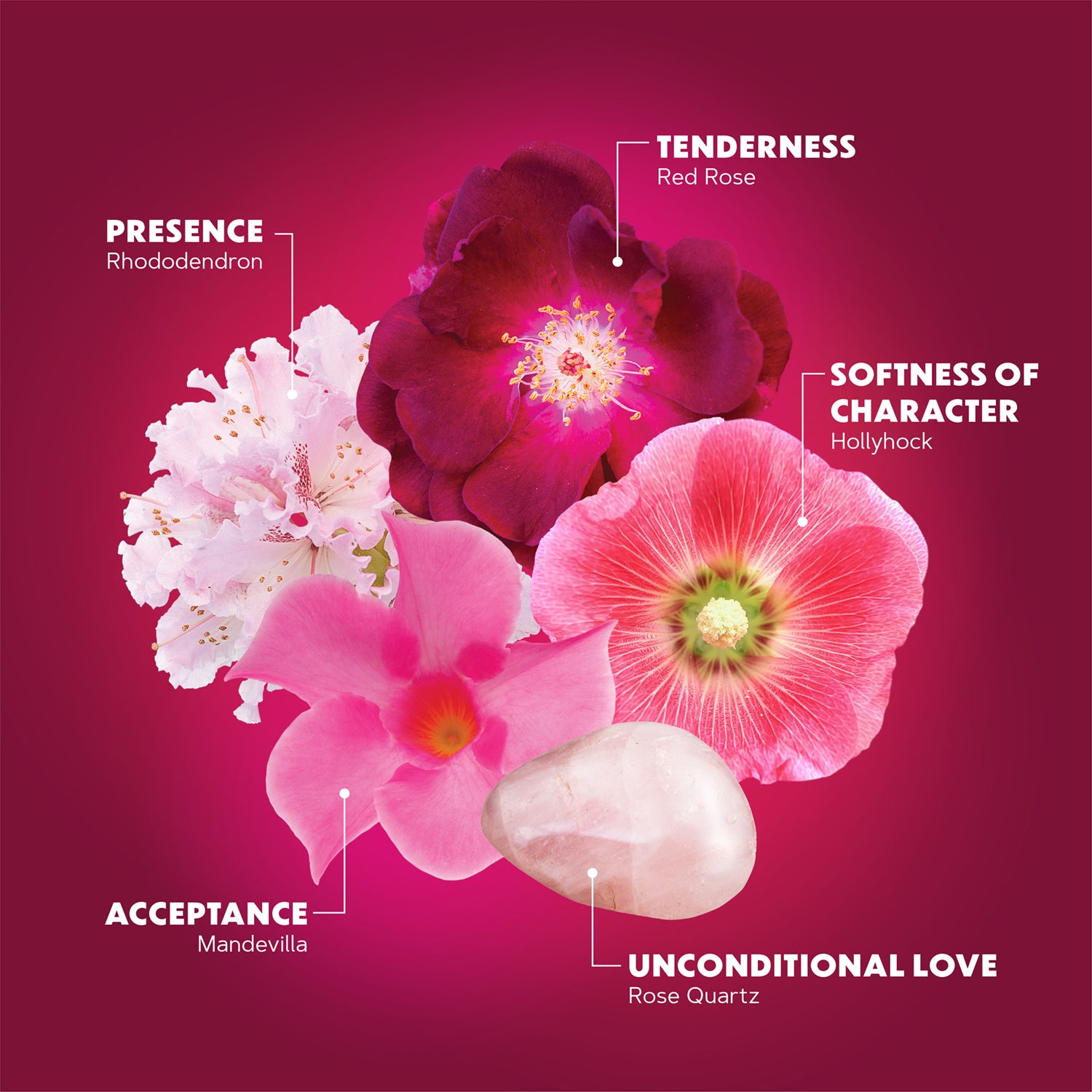 fierce compassion Lotuswei flower essence elixir blend essences