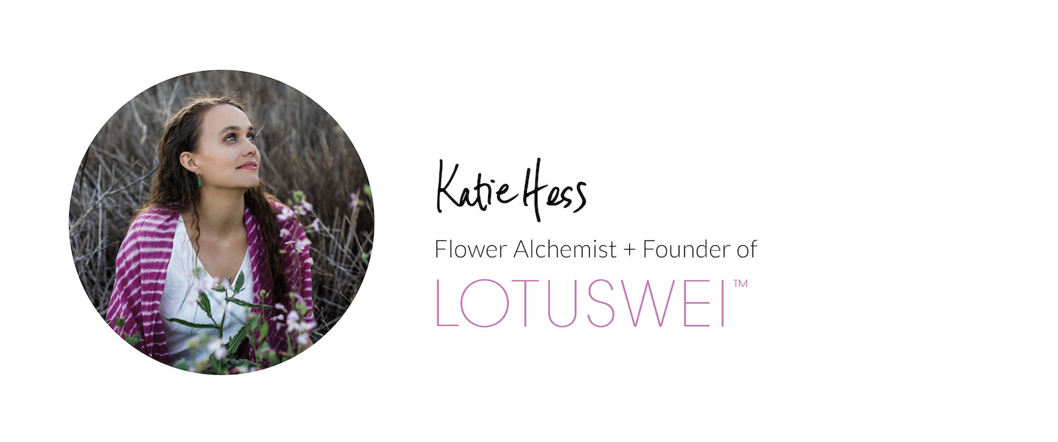 katie hess flower alchemist