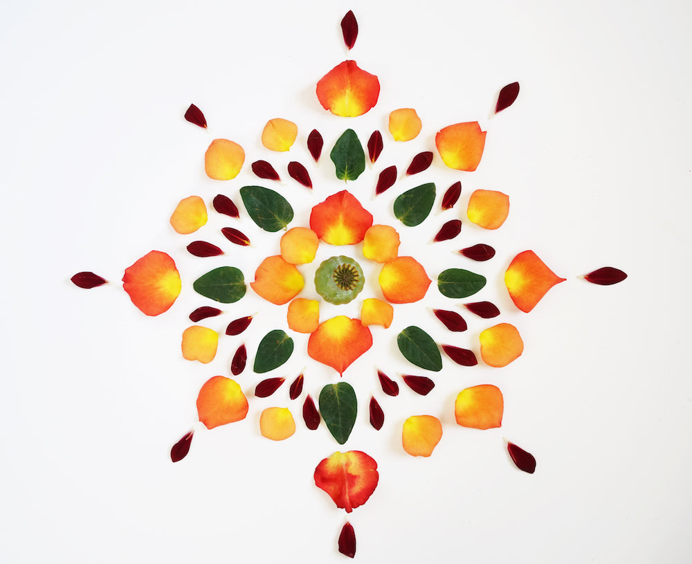 flower mandala Kylee Jaeger LOTUSWEI flower essences