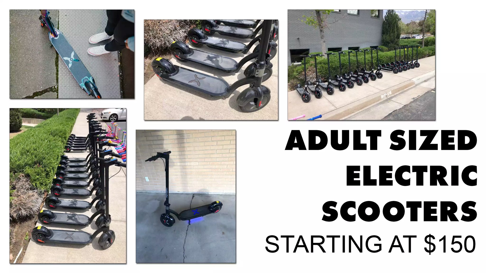 Adult Sized Scooters starting at $150