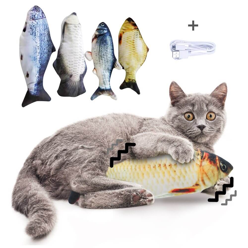 Featured image of post Fisch Zum Spielen F r Katzen Der grat zwischen spieltrieb und jagdtrieb ist sehr schmal