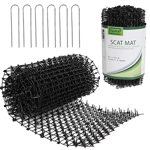 Tapix Barbed Wire Roll - Razor Barbed Wire Fence for Outdoor Repellent and Crafts 25 Feet 18 Gauge 4 Point Barb Wire