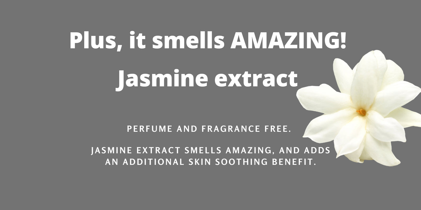 perfume free, fragrance free skincare antiaging serum