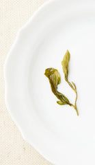 green tea leaf