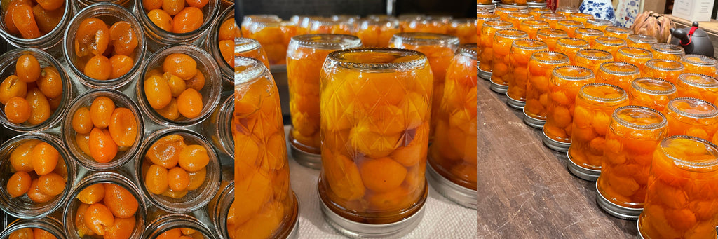 Kumquat Jar