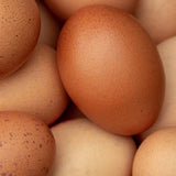 eggs