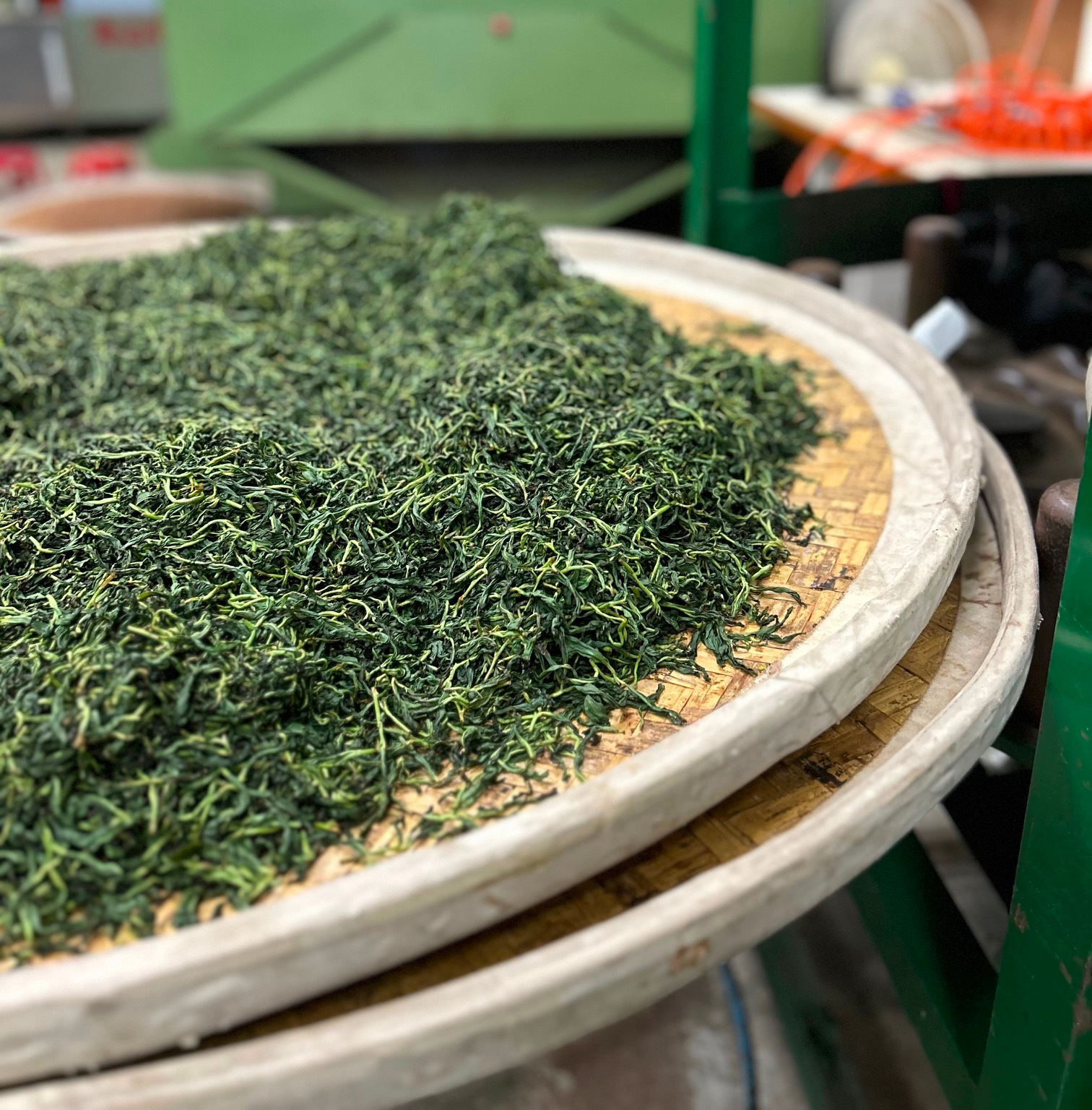 Pinglin Tea Production