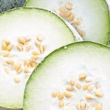 winter melon