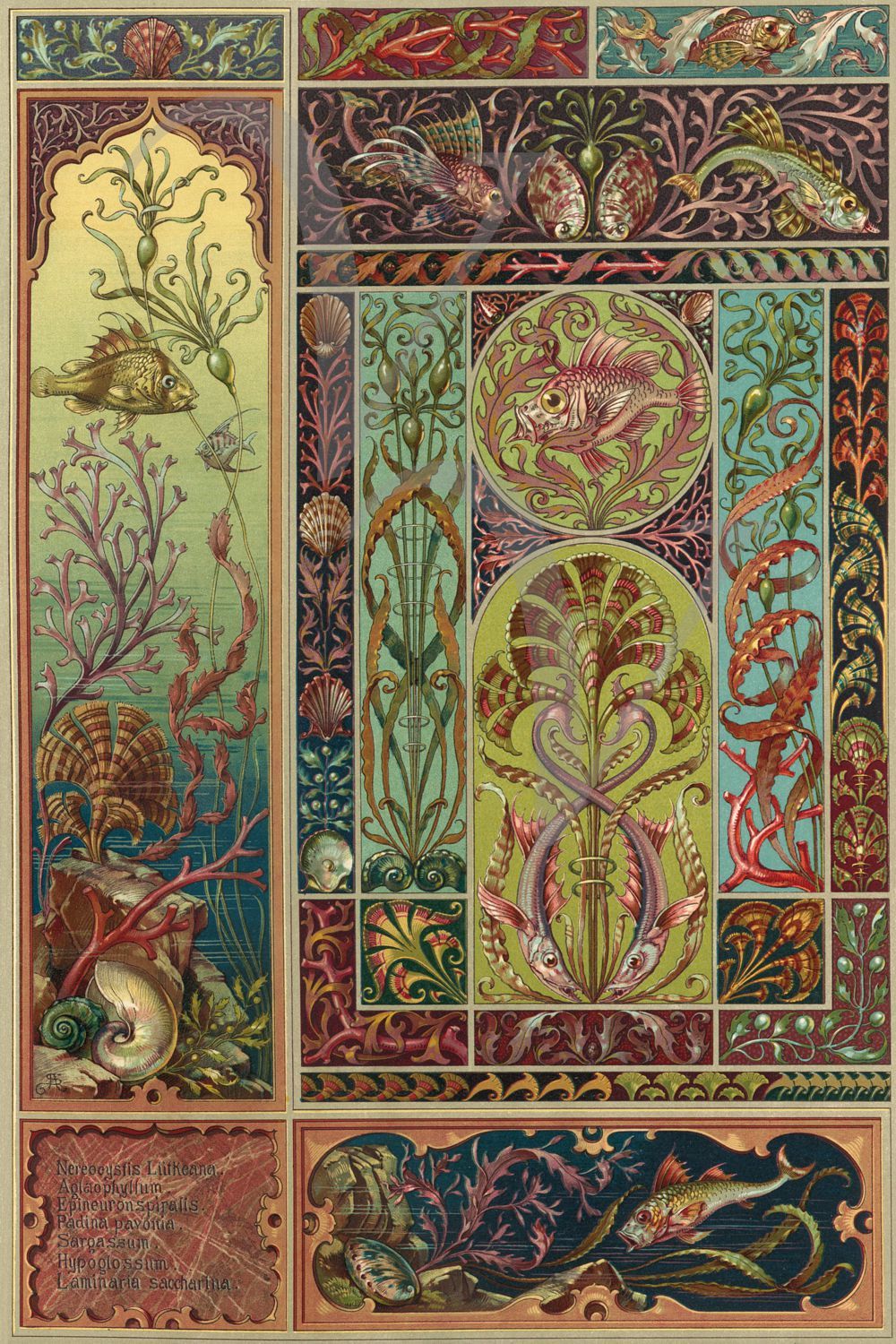 Ocean Fantasy. Art Nouveau Fine Art Print- Opium of the Poets
