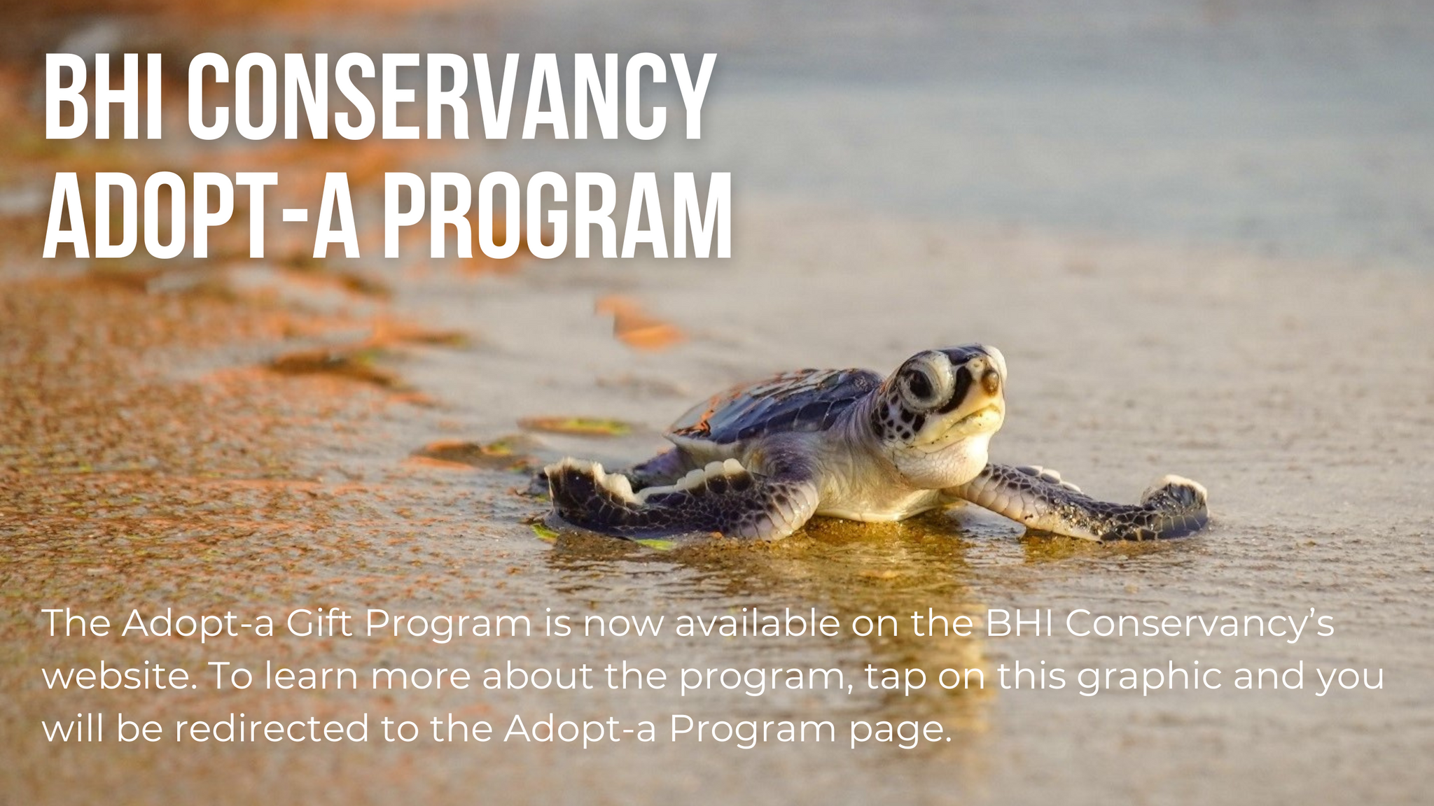 BHI Conservancy Adopt-a Program