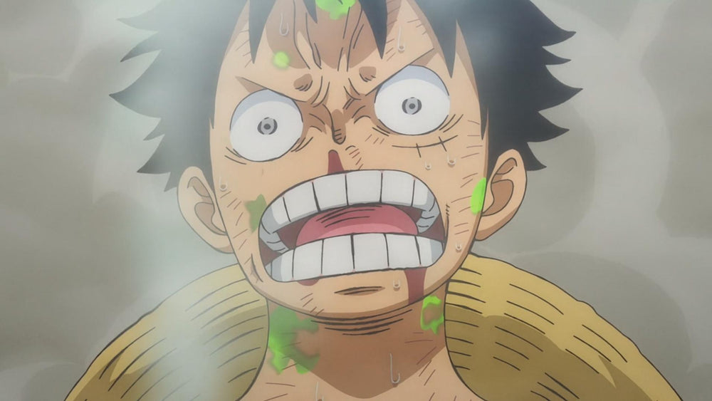 One Piece Episode 949 Review Mynakama