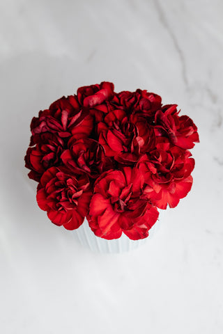 red carnations christmas flowers