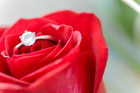 romantic red roses