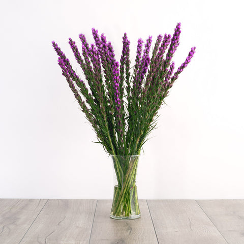 purple liatris zodiac bouquet