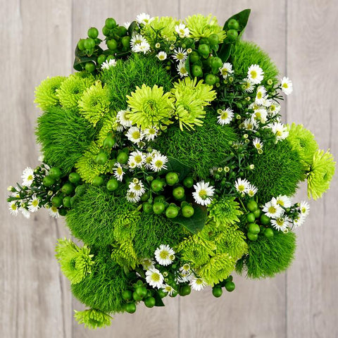 green trick dianthus, athos poms, and buttercup daisies zodiac flowers birth flowers