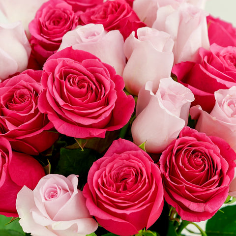 A Complete Guide To Rose Color Meanings
