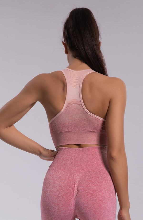 Gymshark - Ombre Seamless Sports Bra (Coral Peach)