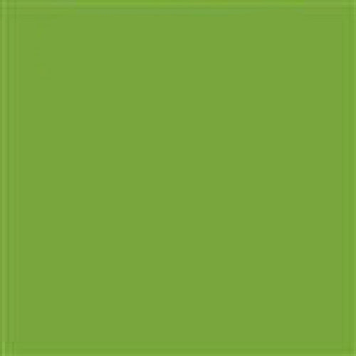 Celeste Stains Ceramic Porcelain Paints - C-006-207 - Celeste Paint, Celeste  Color, Mason Stains Paint, 0C6569 