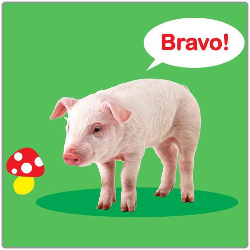 Bravo! - T-shirt