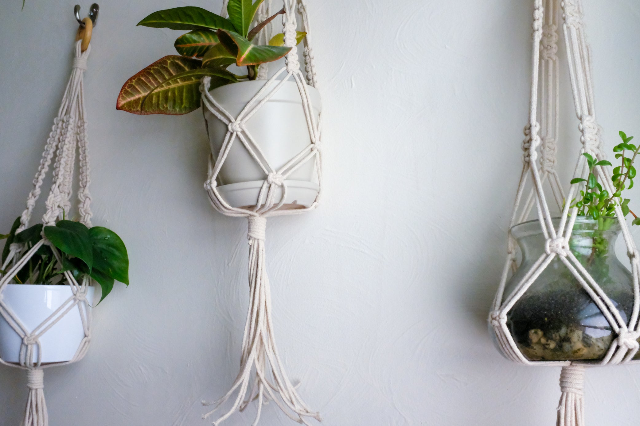DIY Macrame Plant Hanger Tutorial - Bathroom Makeover – Jenny Lemons