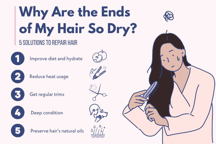 why are the ends of my hair so dry infographic