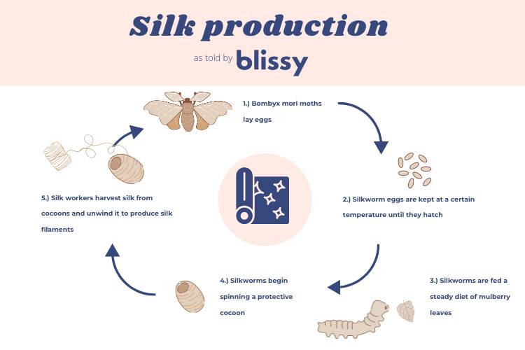 how silk gets made infographic