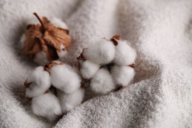 Is Cotton Hypoallergenic? Learn The Effects Cotton Has on Your