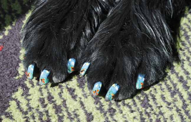 is it dangerous to paint a dogs nails