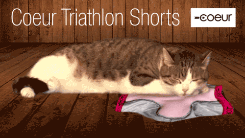 Coeur Triathlon Shorts