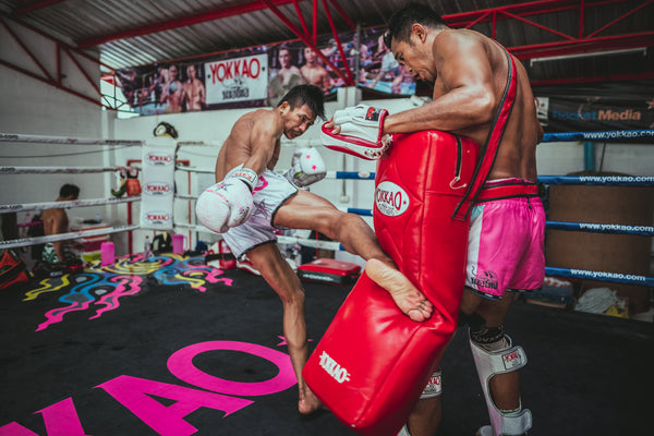 
      All About Muay Thai Low Kicks
    