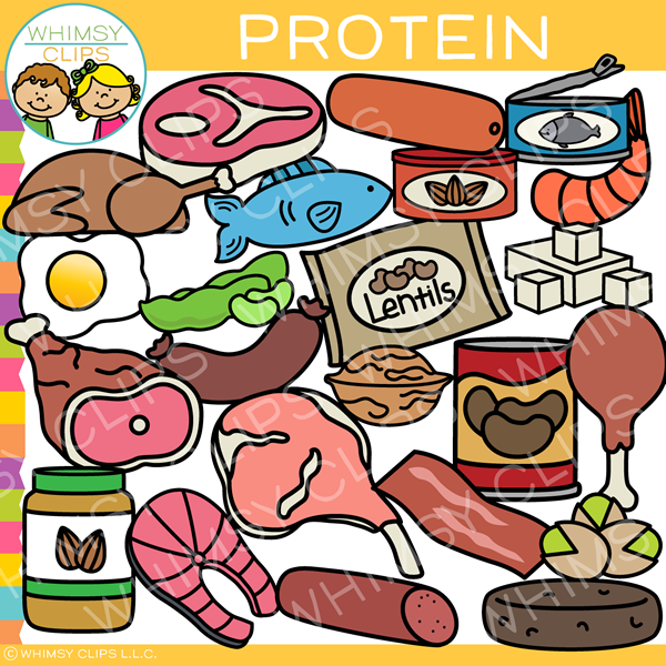 proteins food clipart school