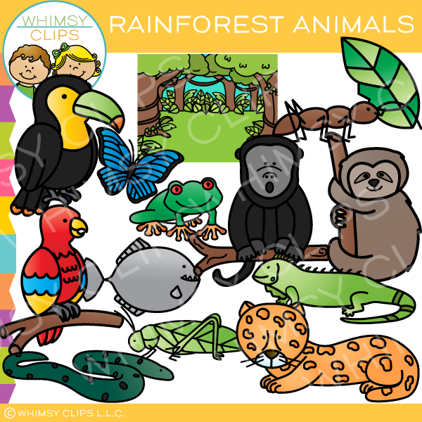 Colorful Rainforest Animals Clip Art , Images & Illustrations | Whimsy
