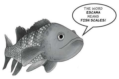 alt="escama means fish scales"