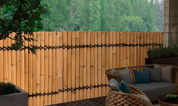 ideas ocultación jardín bambú