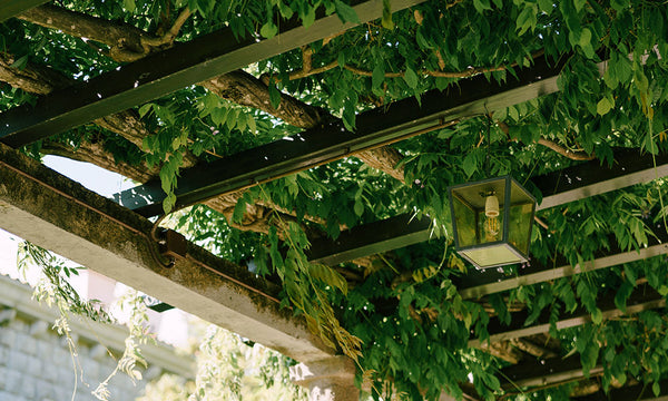 ideas ocultación jardín pérgola con enredadera