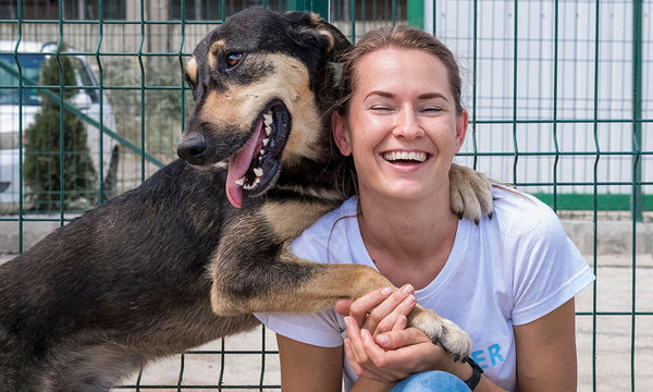 perrera perro caza malla hercules