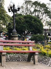 Parque. Plaza Jardín