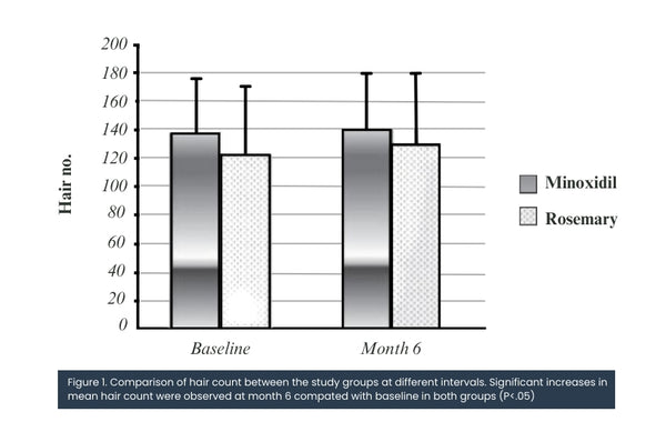 effectiveness of rosemary oil to minoxidil