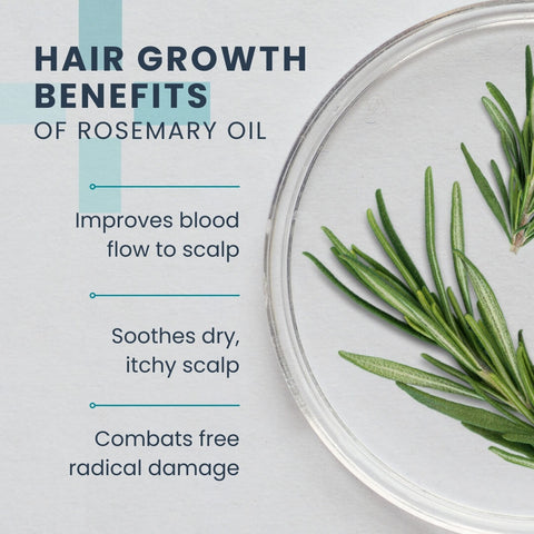 Rosemary oil benefits for hair growth