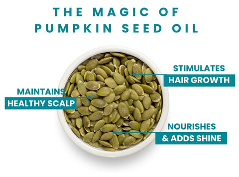 Pumpkin Seed Oil benefits includes stimulating hair growth, maintaining healthy scalp and nourishes hair