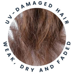 UV Damage Effect on Your Hair