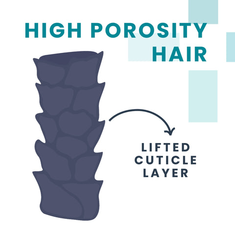 High Porosity Hair has a lifted cuticle layer