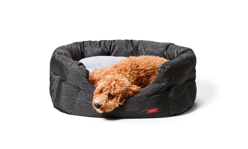 Waterproof Dog Beds – Heavy Duty Waterproof Dog Beds for Sale | Snooza