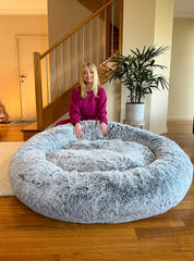 world's biggest dog bed human size Rachel Moore RSPCA calming cuddler Snooza