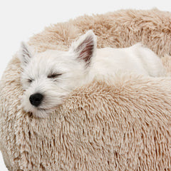 Calming Cuddler Dog Bed