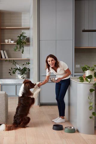 Dr Katrina shaking paws with border collie 