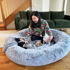 woman smiling with two boston terriers in giant dog bed