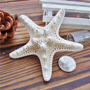 1pcs Starfish Miniature Figurine Home Decoration Accessories Craft Ornaments Sea Stars DIY Beach Cottage Gifts 5-10cm