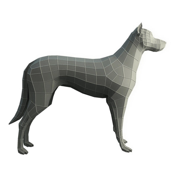 Base Mesh Dog 3D  Animals Bitgem